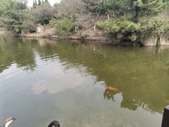 -白马涧龙池景区
