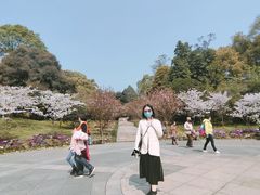 -南山植物园