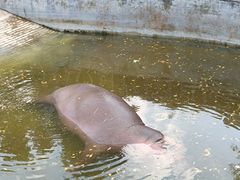 -济南野生动物世界