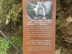 -王顺山国家森林公园