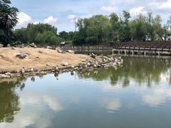 -盐城丹顶鹤湿地生态旅游区