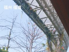 -福道
