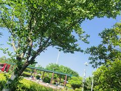 -苏州湾体育公园