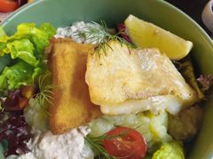 -haxnbauer海森堡德国餐厅(深圳coco店)