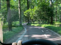 -黄海国家森林公园