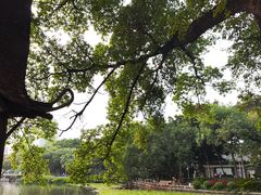 -荔湾湖公园