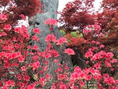 -南京古林公园