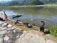 -大九湖