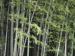 -求雨山文化公园