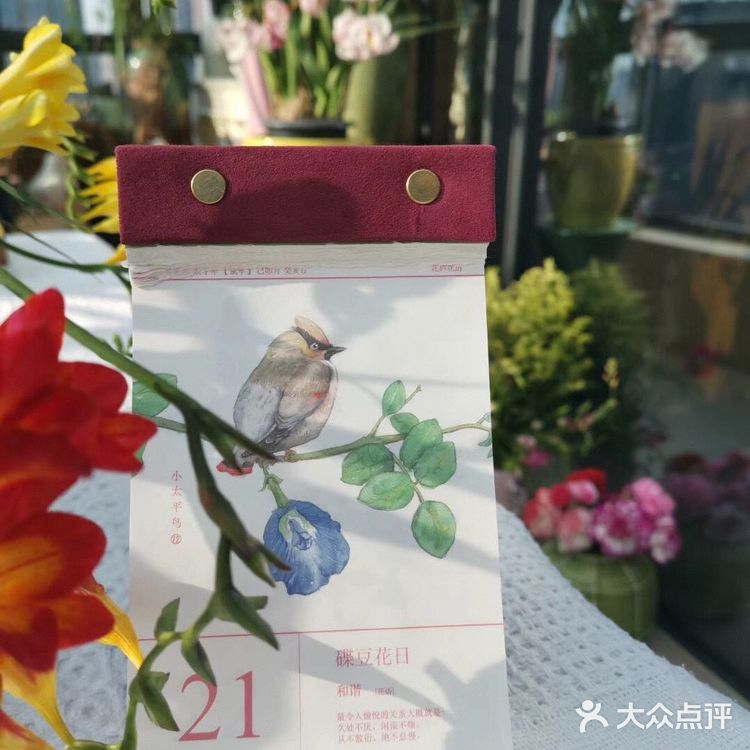 回家路上美景连连[加油]