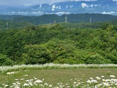 -骆豆花(西苑路店)