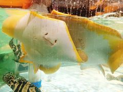 -荣小馆(杭州大厦店)