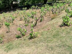 -闽江夜游台江旅游码头