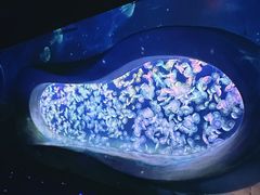 -海合安天津极地海洋公园