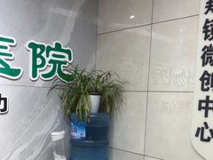 -半岛宠物医院24小时(白果林店)