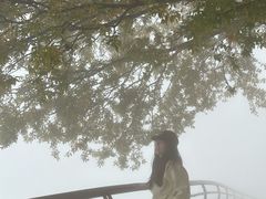 -少华山国家森林公园