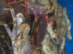 -宾朋海鲜特色美食餐厅·纯手工鲅鱼水饺(兴海路店)