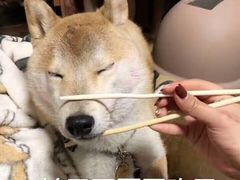 -迦南·甜品蛋糕(传媒店)