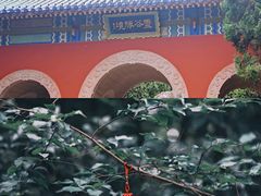 -灵谷景区