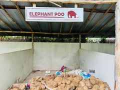 -大象粑粑造纸公园