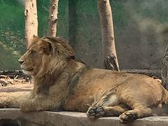 -重庆动物园·东二门售票处