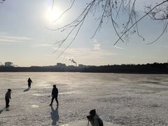 -长春市南湖公园