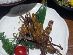 -九井澤精致料理(金茂店)