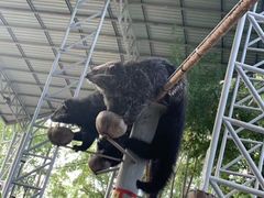 -清迈夜间动物园