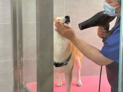 -宠福鑫康馨动物医院·骨科·眼科