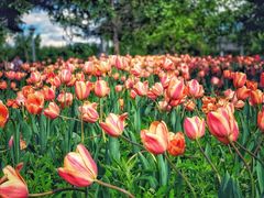 -长春公园(普阳街道)