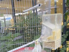 -蘇河湾·新鲁菜·泰山宴(泰山店)