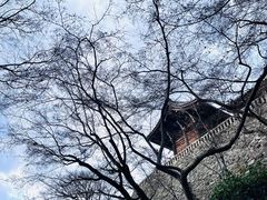 -清水寺