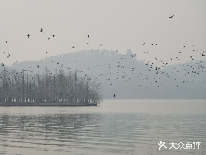 东湖落雁景区图片