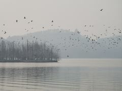 -东湖落雁景区