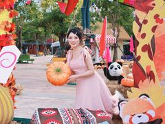 -灵玲国际马戏城