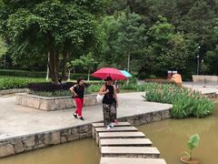 -神光山国家森林公园