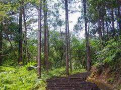 -广州白江湖森林公园