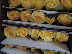 -亭亭鲜花店(中山北路店)