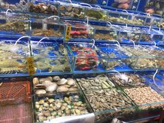 水产区-盛港湾海鲜食府(黄沙店)