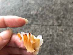 -喜茶(佛山岭南站店)