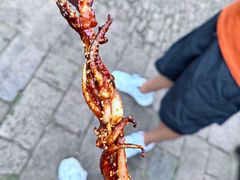 -南翔古镇