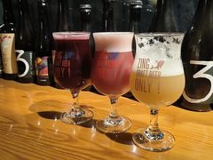 -ZING鲸鱼啤酒(葡萄院店)