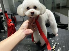 -宠物家(双井店)