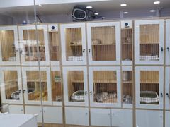 -爱洗澡的猫(天河路店)