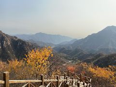 -大岭沟猕猴桃谷风景区