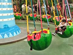 -南宫五洲植物乐园