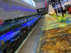 -驻海渔市(置信店)