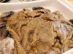 捞派毛肚-海底捞火锅(方圆荟店)