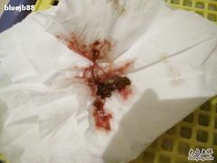 -瑞派申生动物医院·24H夜诊·国际动物医疗中心·骨外科(吴中路店)