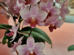 -二酉书店TOYOU BOOKS